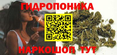 прущие крисы Гусев