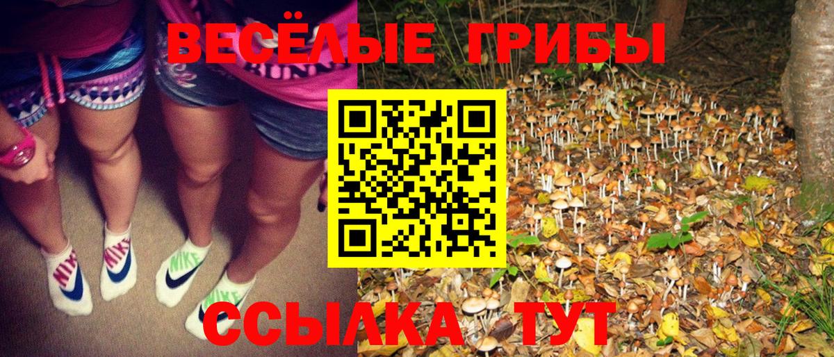 Псилоцибиновые грибы Psilocybine cubensis Набережные Челны